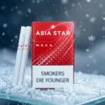 Asia Star Mega (image 1)