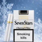 Sevenstars Charcoal Filter (image 1)