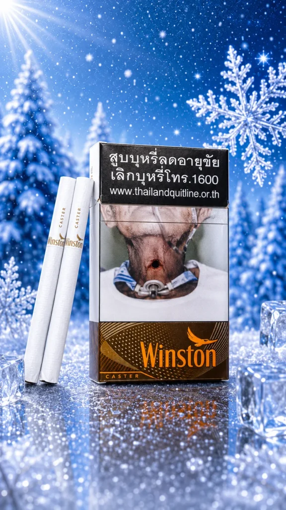 Winston Caster (image 1)
